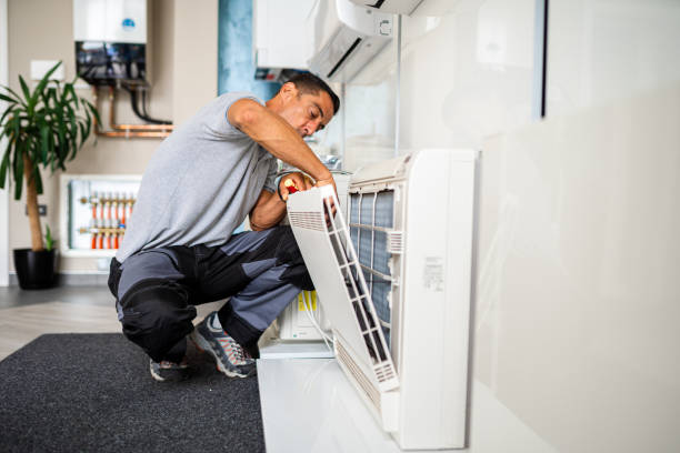 Best HVAC Duct Inspection Services  in Lealman, FL