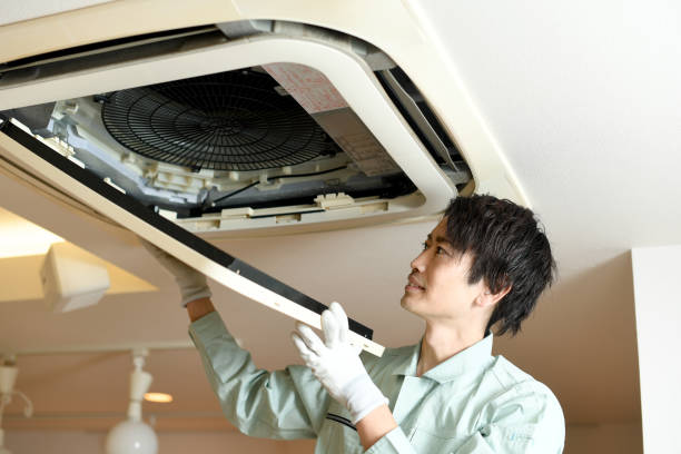 Best Affordable Air Duct Cleaning  in Lealman, FL